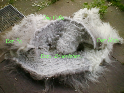 Der ausgezogene Filzmantel