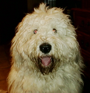 Lady nach der Ankunft