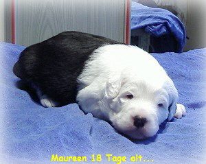 Maureen 18 Tage alt