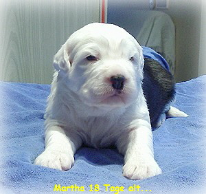 Martha 18 Tage alt...