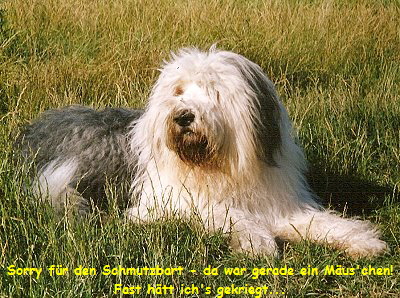 Sorry f�r den Schmutzbart - da war gerade ein M�us'chen!
Fast h�tt ich's gekriegt...