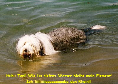 Huhu Tani! Wie Du siehst: Wasser bleibt mein Element!
Ich liiiiiiiieeeeeeeeebe den Rhein!!!