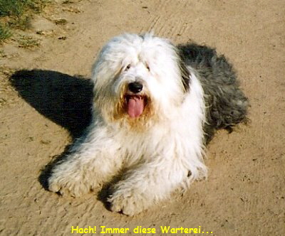 Hach! Immer diese Warterei...