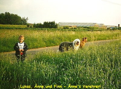 Lukas, �nne und Finn - �nne's Verehrer!