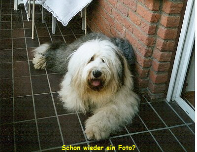 Schon wieder ein Foto?