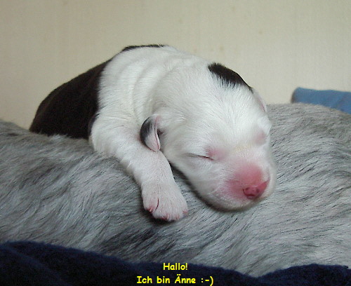 1. Tag - das bin ich!