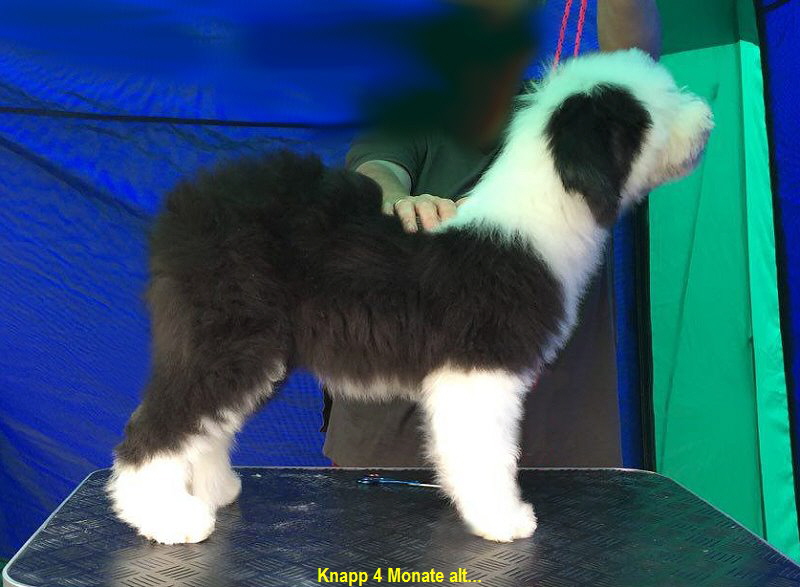 Knapp 4 Monate alt...