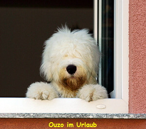 Ouzo im Urlaub