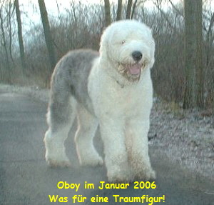 Oboy im Januar 2006
Was f�r eine Traumfigur!