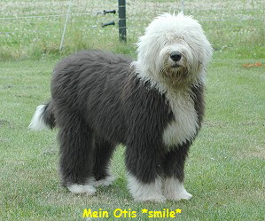 Mein Otis *smile*