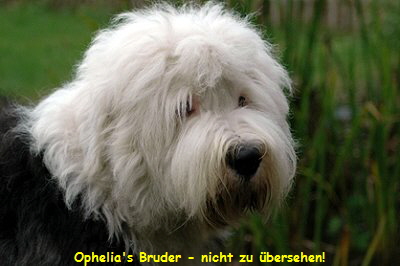 Ophelia's Bruder - nicht zu �bersehen!