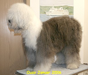 Ouzo Januar 2006