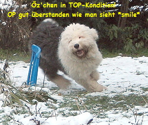 �z'chen in TOP-Kondition!
OP gut �berstanden wie man sieht *smile*