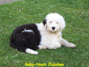Baby-Noch �zzchen