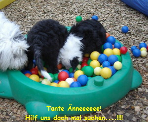 nne! Hilf doch mal suchen!!!!!