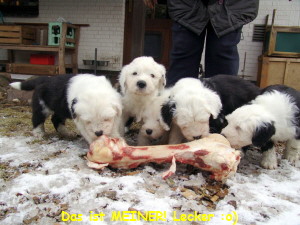 Das ist MEINER! Lecker :o)