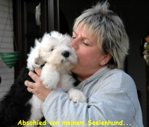 Abschied von meinem Seelenhund...