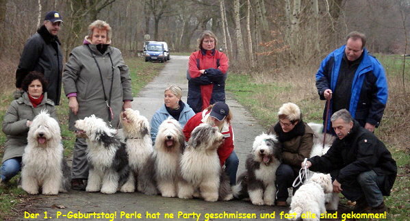 Der 1. P-Geburtstag! Perle hat ne Party geschmissen und fast alle sind gekommen!