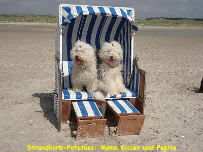 Strandkorb-Potatoes: Mama Kisses und Pepita