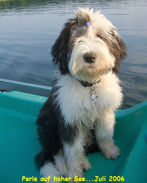 Perle auf hoher See...Juli 2006