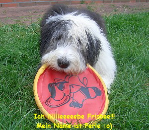 Ich liiiiieeeeebe Frisbee!!!
Mein Name ist Perle :o)