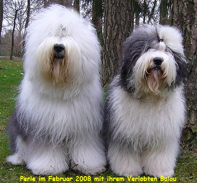 Perle im Februar 2008 mit ihrem Verlobten Balou