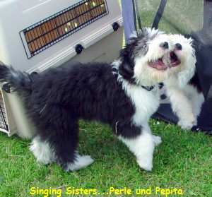 Singing Sisters...Perle und Pepita