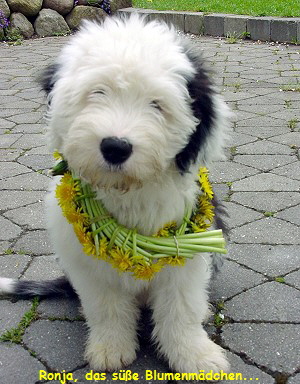 Ronja, das se Blumenmdchen...