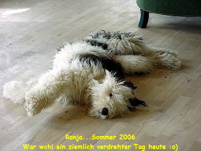 Ronja...Sommer 2006
War wohl ein ziemlich verdrehter Tag heute :o)