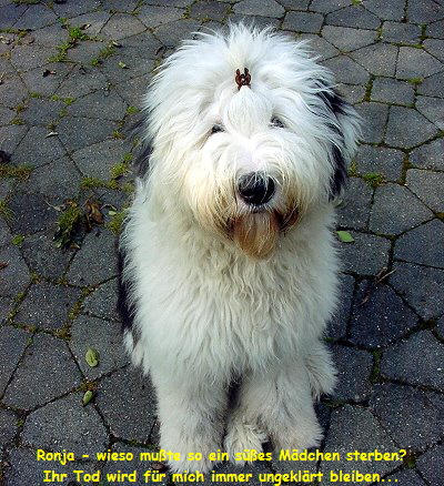 Ronja - wieso mute so ein ses Mdchen sterben?
Ihr Tod wird fr mich immer ungeklrt bleiben...