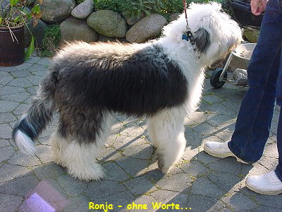 Ronja - ohne Worte...