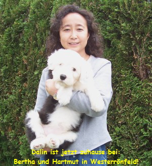 Dalin ist jetzt zuhause bei:
Bertha und Hartmut in Westerr�nfeld!