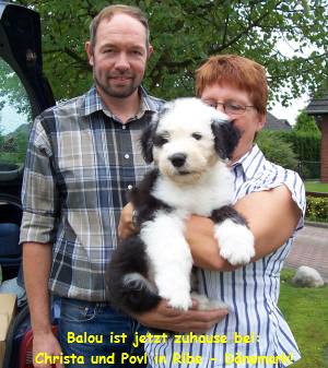 Balou ist jetzt zuhause bei:
Christa und Povl in Ribe - D�nemark!
