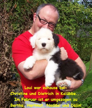 Loui war zuhause bei:
Christine und Dietrich in Kal�bbe...
Im Februar ist er umgezogen zu
Bertha, Hartmut, Naddel und Dalin!
