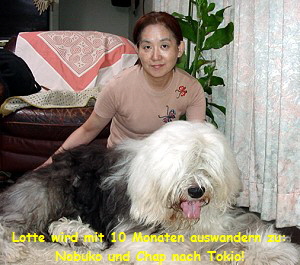 Lotte wird mit 10 Monaten auswandern zu:
Nobuko und Chap nach Tokio!