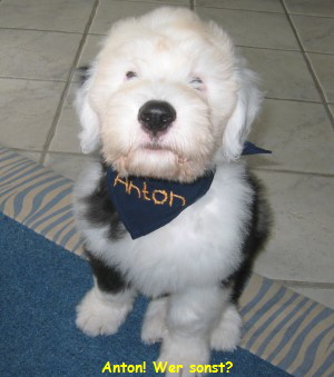Anton! Wer sonst?