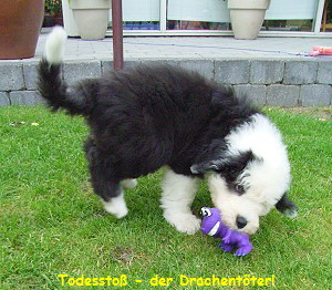 Todessto� - der Drachent�ter!