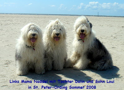 Links Mama Naddel mit Tochter Dalin und Sohn Loui
in St. Peter-Ording Sommer 2008