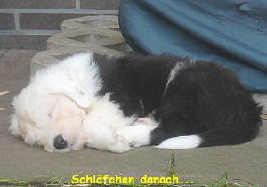 Schl�fchen danach...