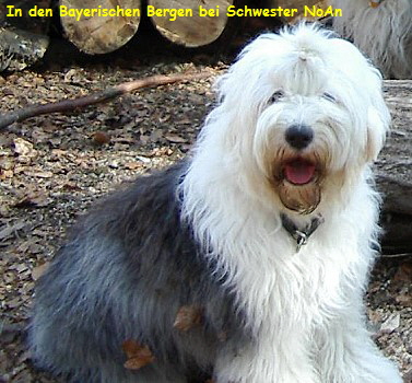 Bei Schwester NoAn in Bayern