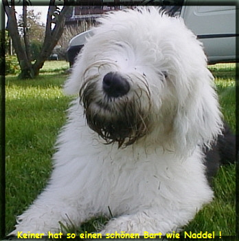 Naddel's unverkennbarer Bart !