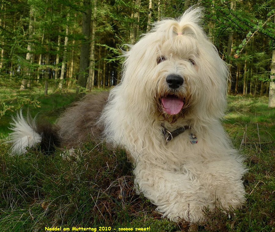 Naddel am Muttertag 2010 - sooooo sweet!