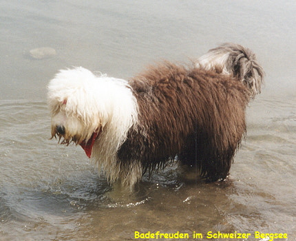 Wir haben Chili in der Schweiz besucht !