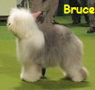 Barkshire's Born in the U.S.A. with Brinkley