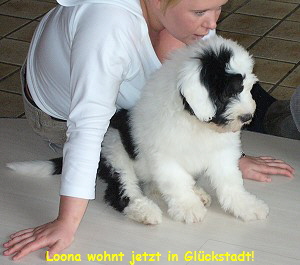 Loona wohnt jetzt in Gl�ckstadt!