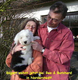Bogart wohnt jetzt bei Bea & Burkhard
in Norderstedt!