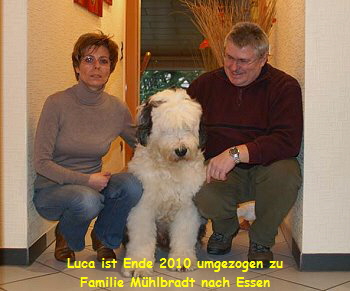 Luca ist Ende 2010 umgezogen zu
Familie M�hlbradt nach Essen