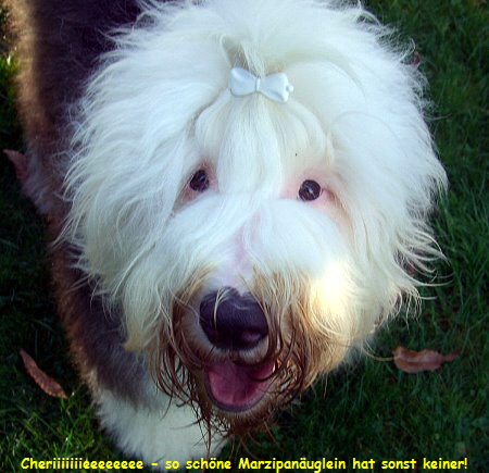 Cheriiiiiiieeeeeeee - so sch�ne Marzipan�uglein hat sonst keiner!