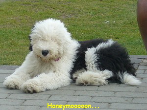 Honeymooooon...
