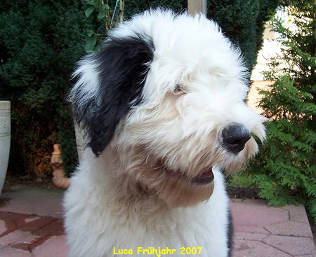 Luca Fr�hjahr 2007